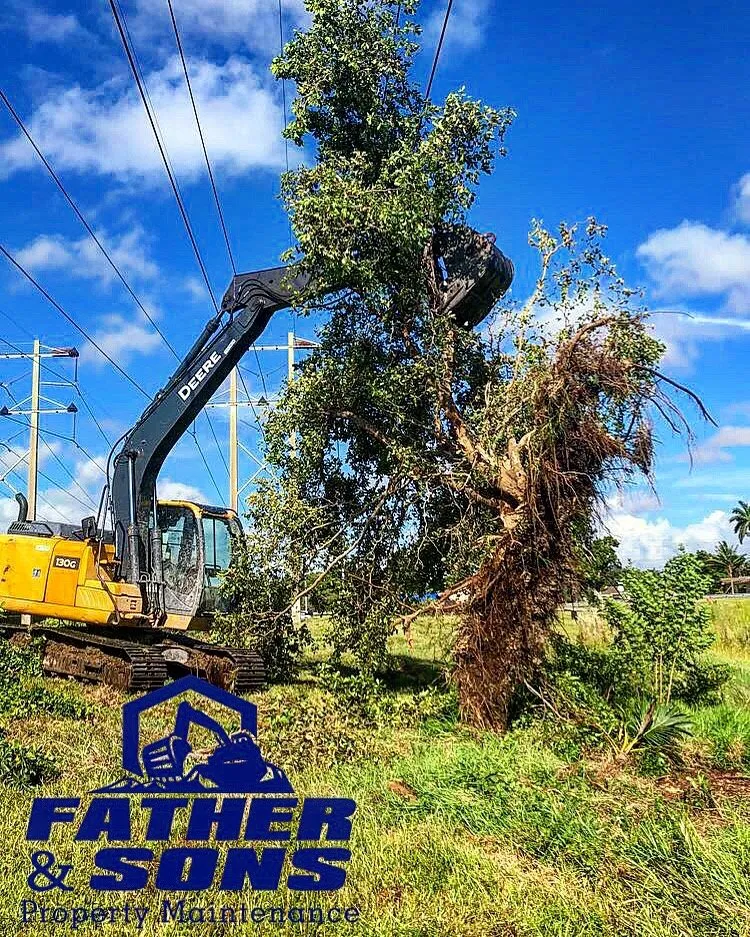 Expert landscape design in Homestead, FL by Father & Sons Tree Service
