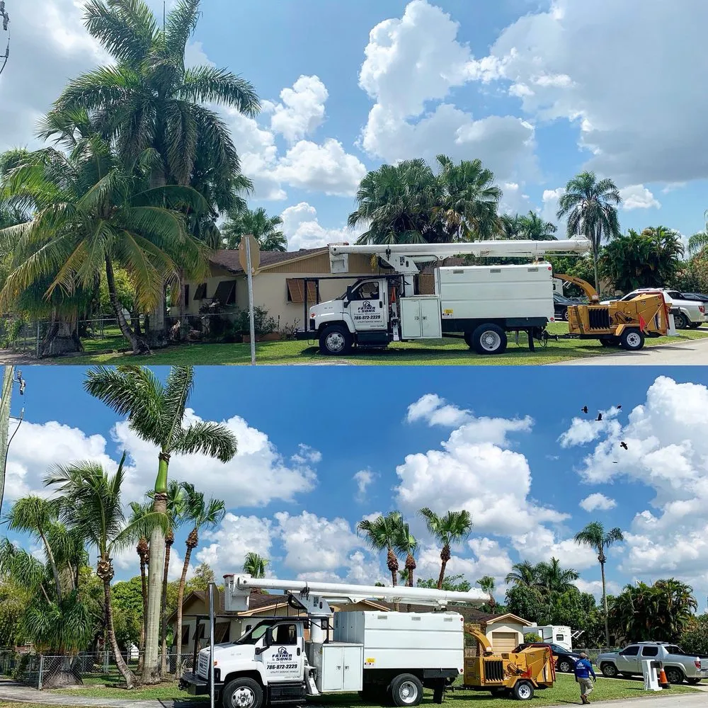 Affordable lawn care service experts serving Homestead, FL - Father & Sons Tree Service
