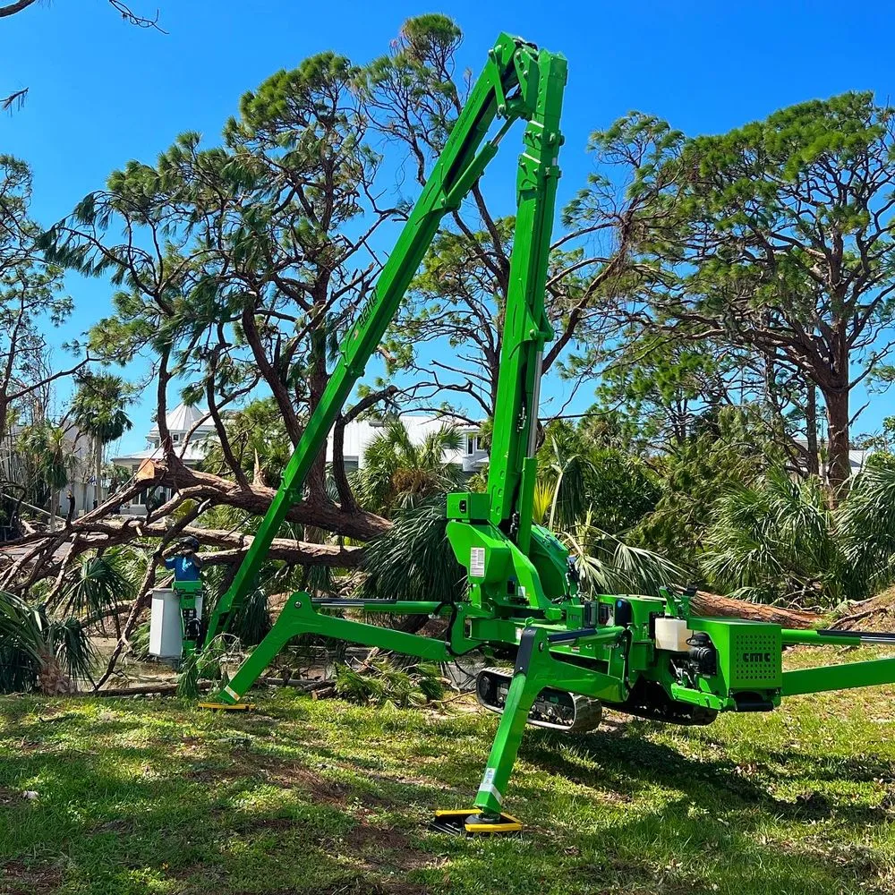 Professional landscape installation with custom design in Homestead, FL by Father & Sons Tree Service
