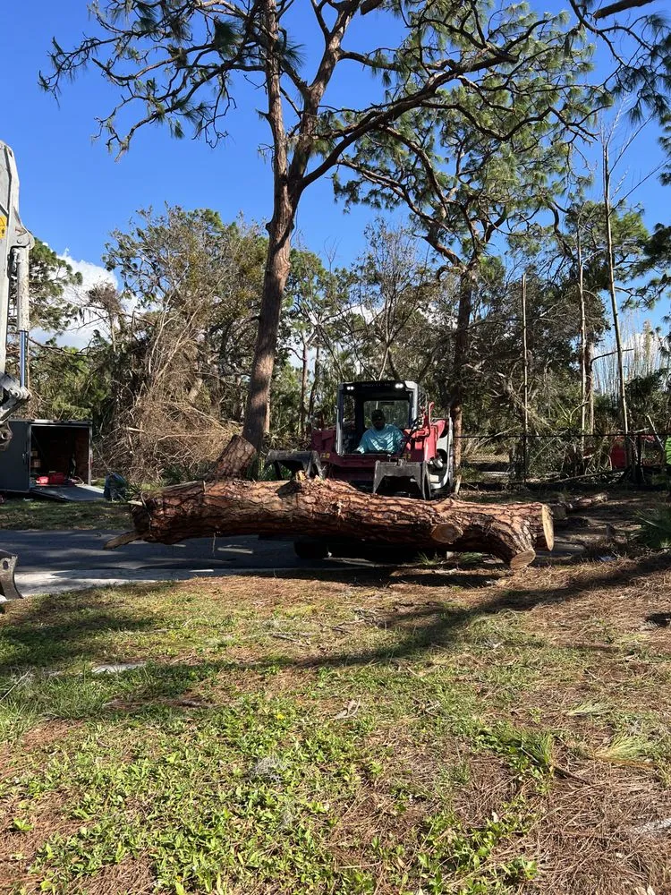 Expert outdoor landscaping in Homestead, FL by Father & Sons Tree Service
