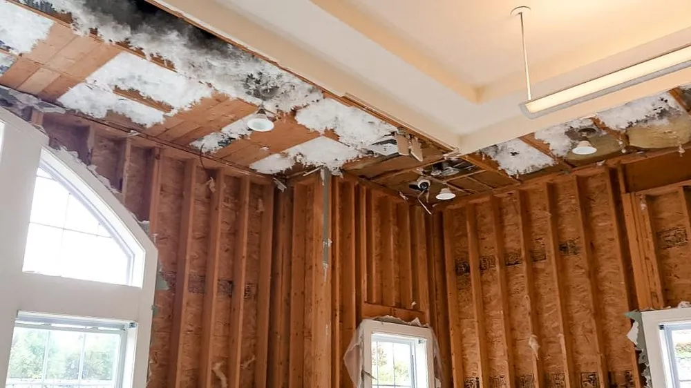 Trusted yard cleanup service in Woburn, MA by Father & Sons