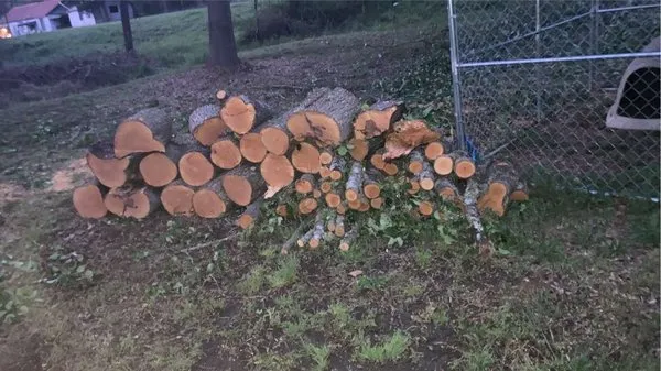 Father and Son Grass Care