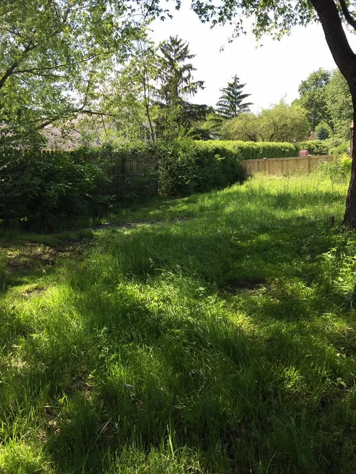 Local yard maintenance experts serving Streamwood, IL - Father And Son Handyman Services