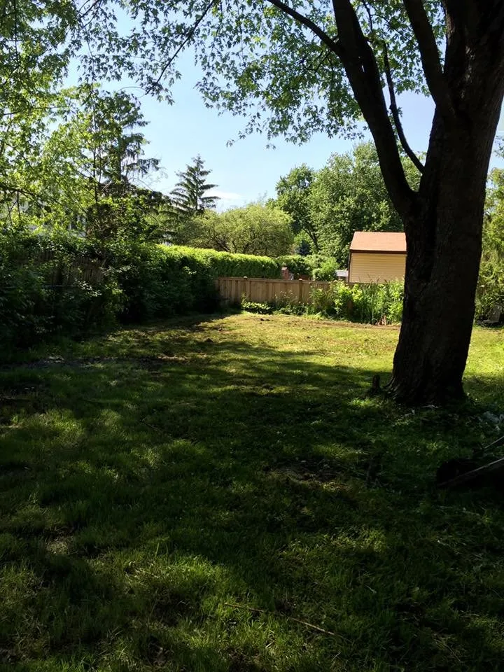 Professional yard cleanup service in Streamwood, IL by Father And Son Handyman Services