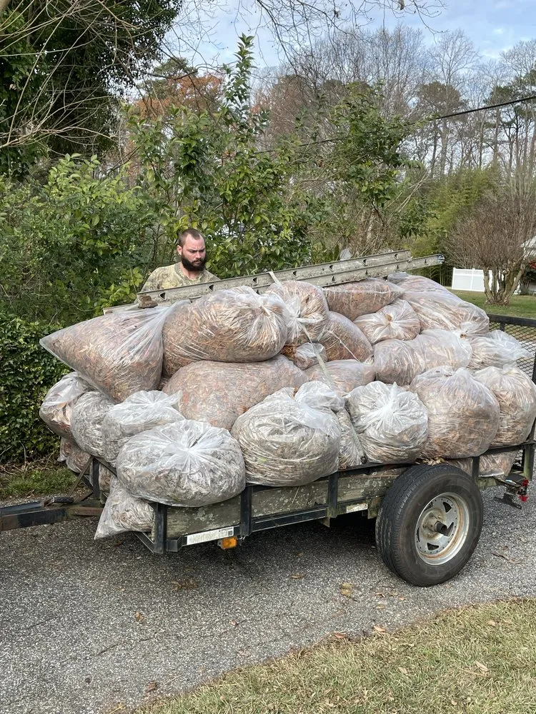 Trusted yard cleanup service in Hampton, VA by Father and Son Landscaping