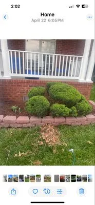 Father and Son Landscaping