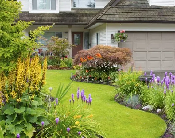 Custom yard maintenance near you across Hilton Head Island, SC - Father and Son Landscaping