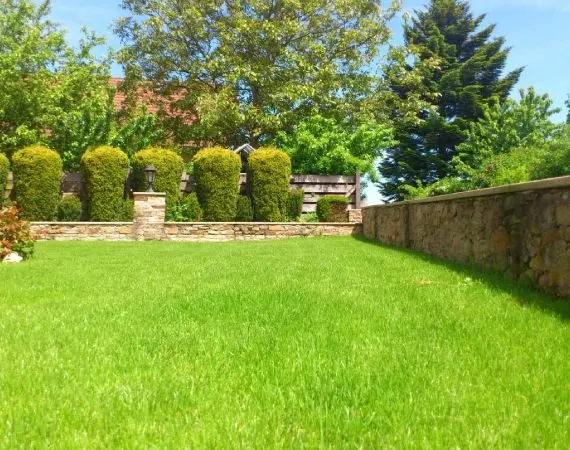 Custom lawn care service experts serving Hilton Head Island, SC - Father and Son Landscaping