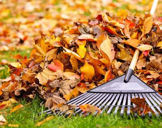 Affordable garden landscaping in Hilton Head Island, SC by Father and Son Landscaping