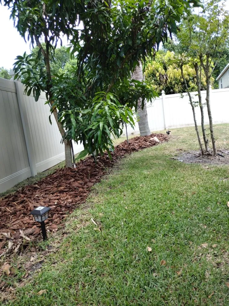 Top-rated landscaping services in Sanford, FL by Father And Son Landscaping Services