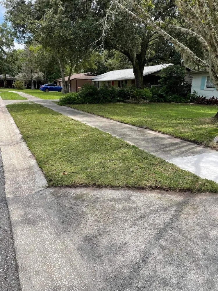 Expert landscape design in Sanford, FL - Father And Son Landscaping Services