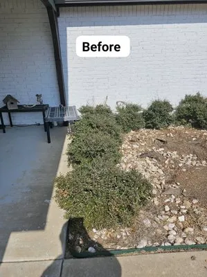 Father and Son Lawn Care