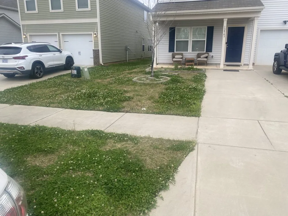 Top-rated yard maintenance in Mint Hill, NC - Father and Son Lawn Care Service