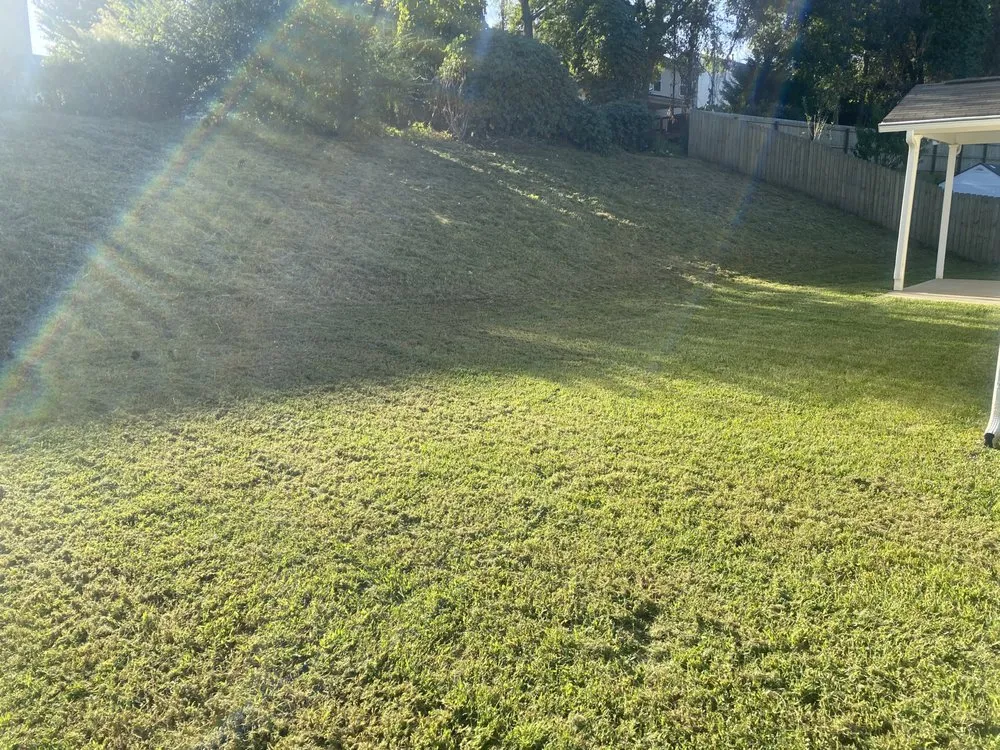 Expert landscape design in Mint Hill, NC by Father and Son Lawn Care Service