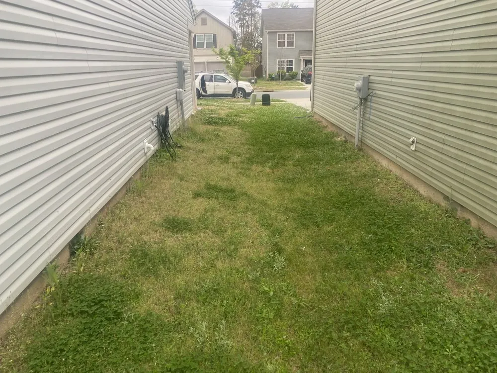 Trusted residential landscaping with custom design in Mint Hill, NC by Father and Son Lawn Care Service