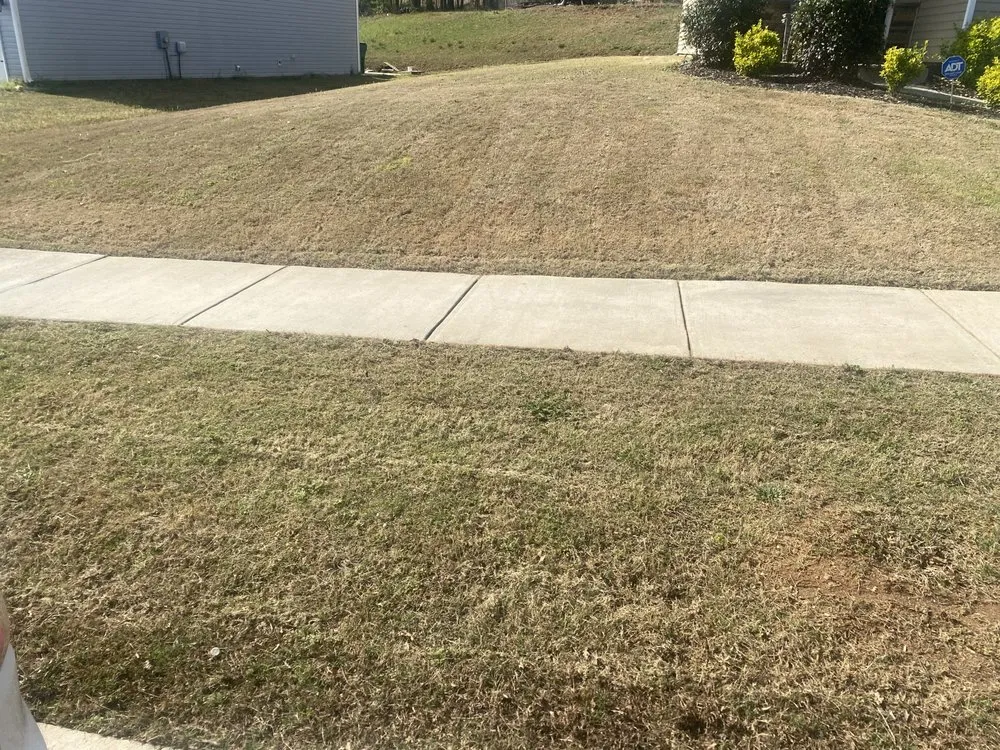 Local residential landscaping for homes in Mint Hill, NC by Father and Son Lawn Care Service