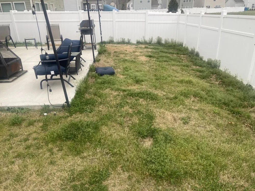 Professional lawn mowing service in Mint Hill, NC - Father and Son Lawn Care Service