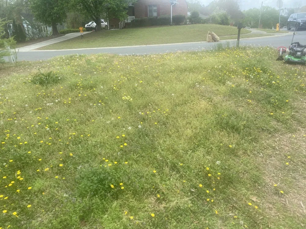 Reliable outdoor landscaping for homes across Mint Hill, NC - Father and Son Lawn Care Service