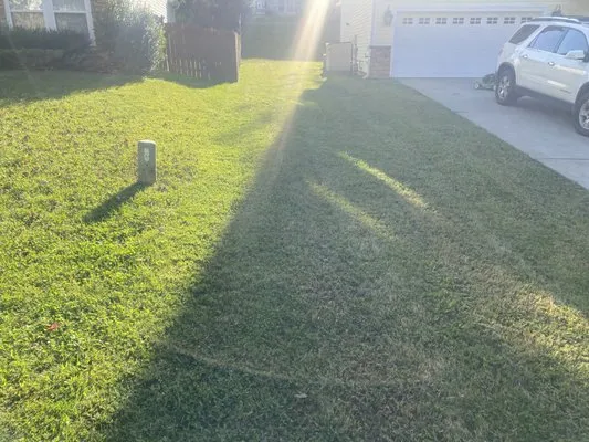 Father and Son Lawn Care Service