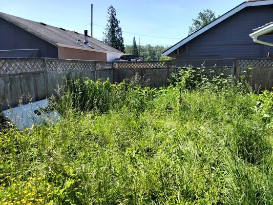 Father And Son Lawn Care