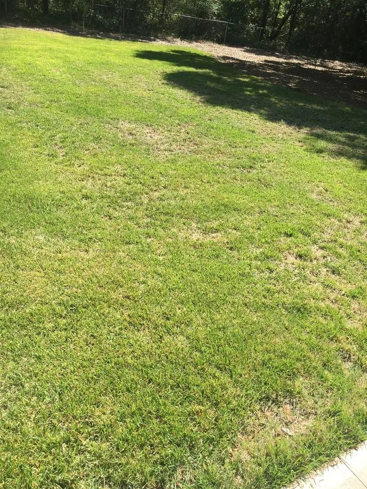 Expert residential landscaping in Navarre, FL - Father and Son Pest and Lawn Solutions