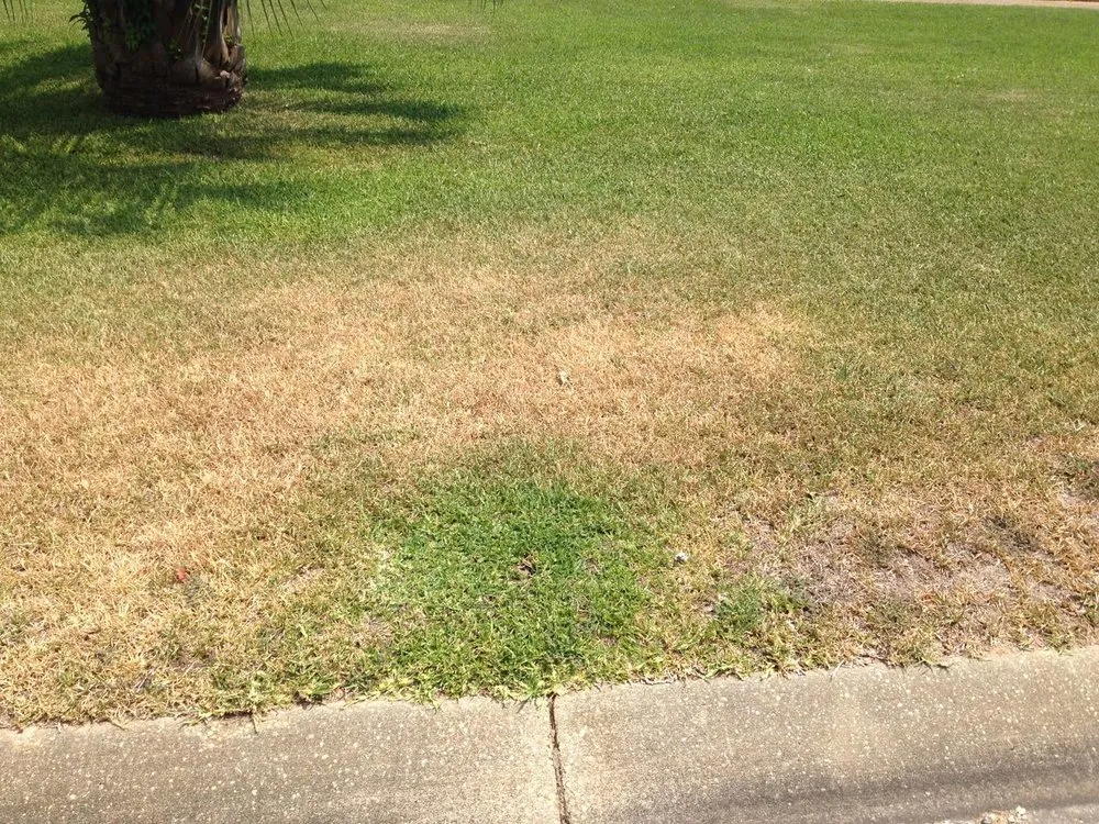 Professional landscape installation experts serving Navarre, FL - Father and Son Pest and Lawn Solutions