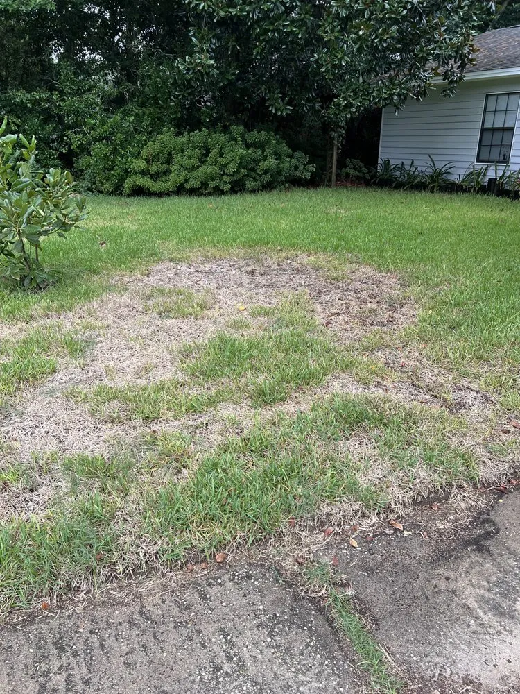 Trusted garden landscaping in Navarre, FL by Father and Son Pest and Lawn Solutions