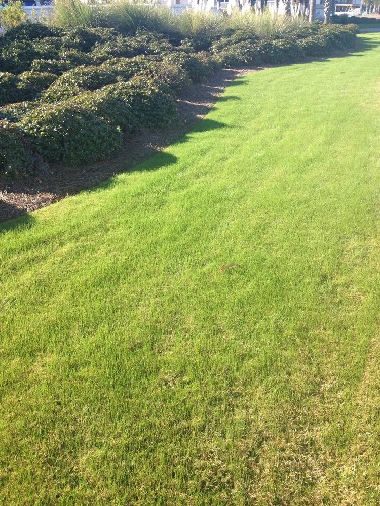 Custom landscaping services in Navarre, FL by Father and Son Pest and Lawn Solutions