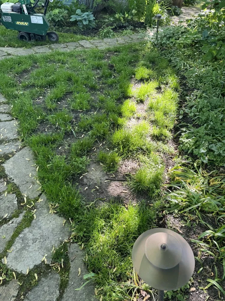 Expert lawn care service near you across Evanston, IL - Father And Son Rodriguez Lawn Care