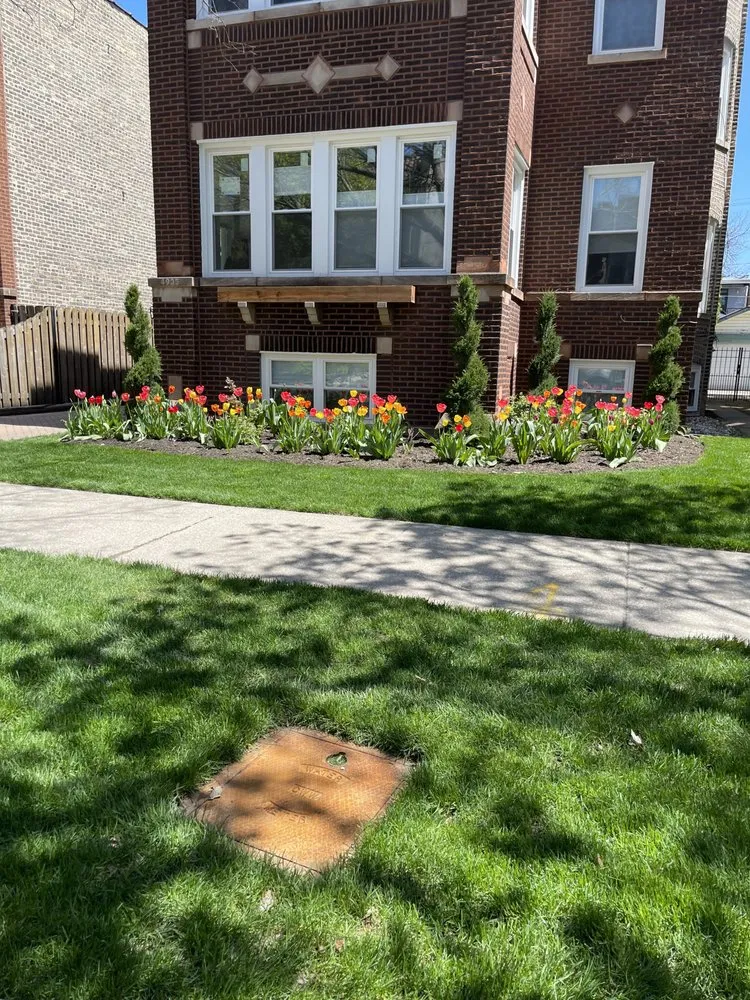 Reliable yard cleanup service in Evanston, IL - Father And Son Rodriguez Lawn Care