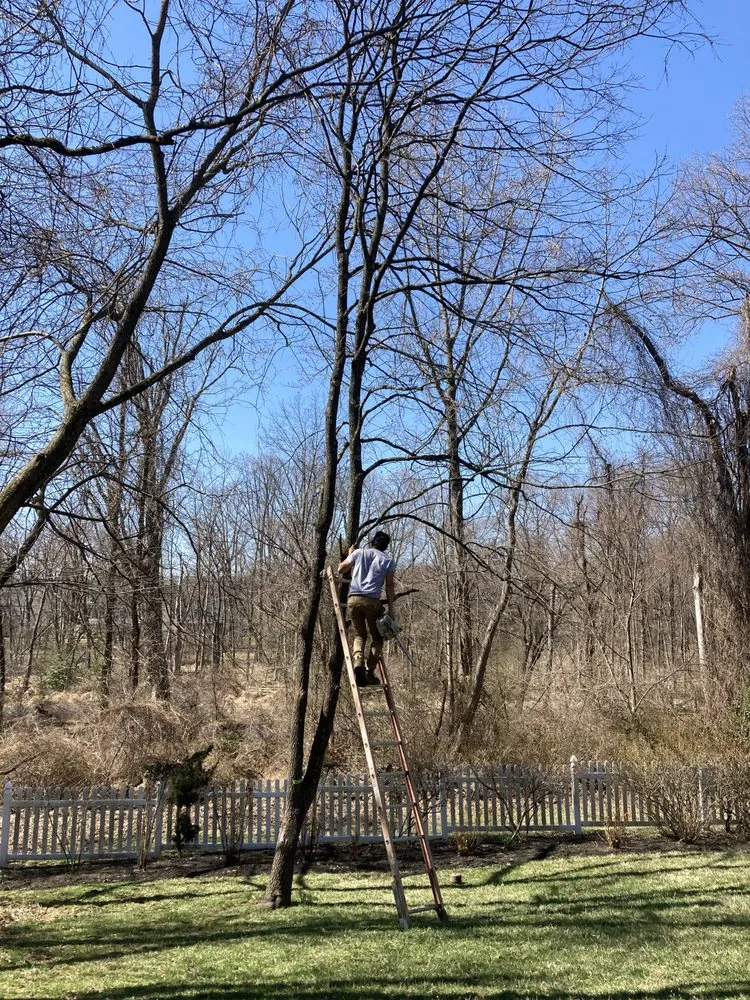 Top-rated yard cleanup service for outdoor upgrades across Elkridge, MD - Father and Sons Landscaping & Construction