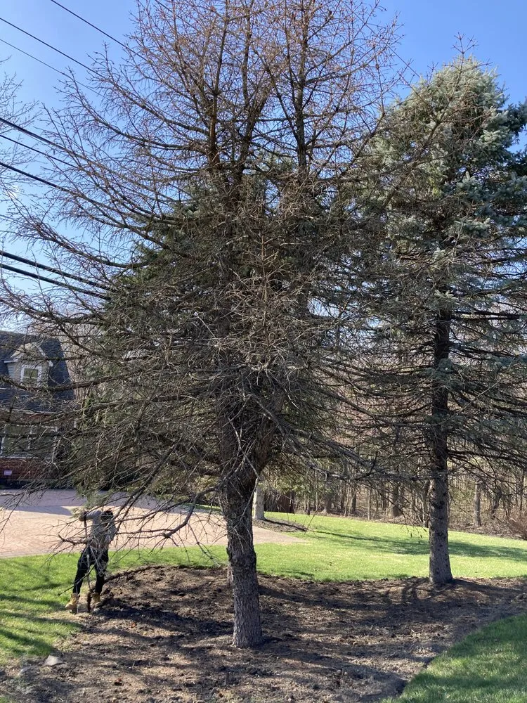 Professional yard cleanup service near you across Elkridge, MD - Father and Sons Landscaping & Construction