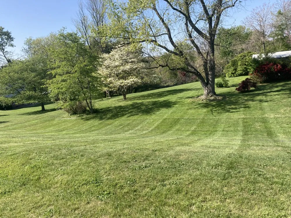 Reliable outdoor landscaping for year-round maintenance across Elkridge, MD - Father and Sons Landscaping & Construction