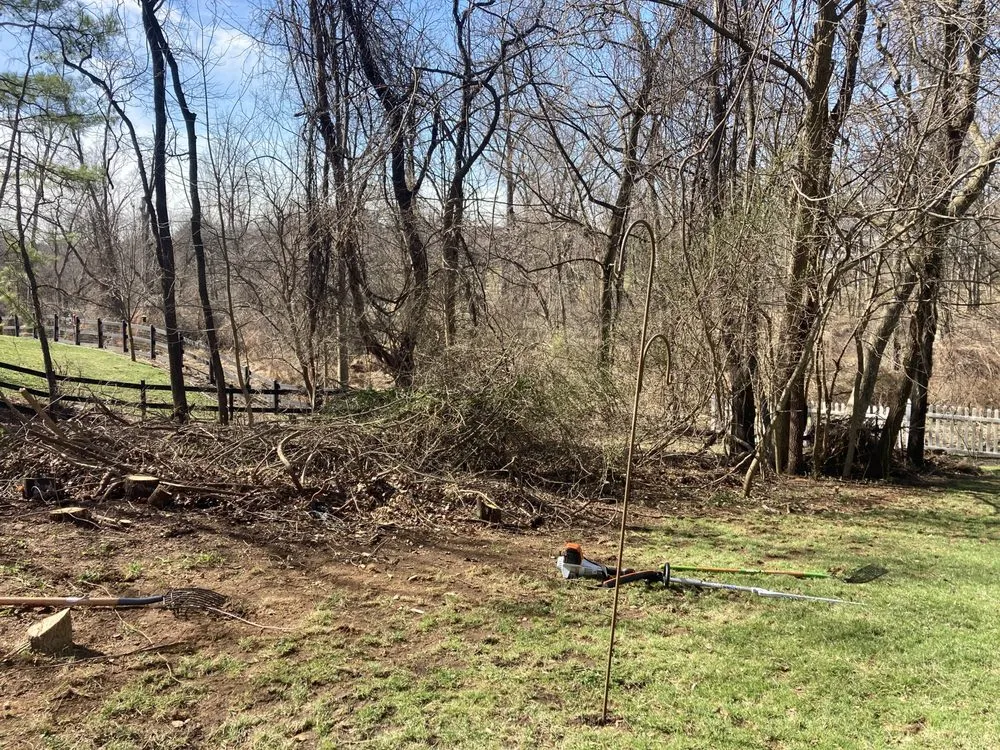 Professional residential landscaping for outdoor upgrades across Elkridge, MD - Father and Sons Landscaping & Construction