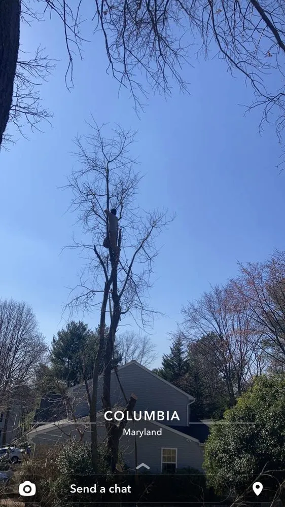 Affordable yard maintenance in Elkridge, MD - Father and Sons Landscaping & Construction