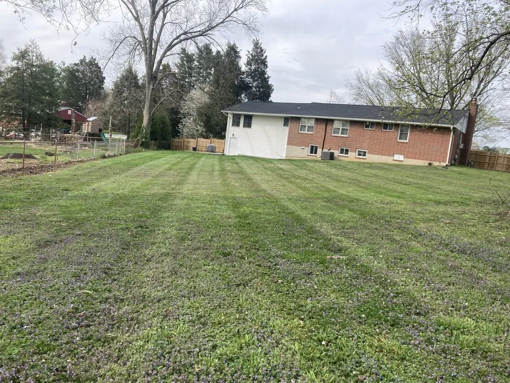 Affordable landscape installation for beautiful yards in Elkridge, MD by Father and Sons Landscaping & Construction