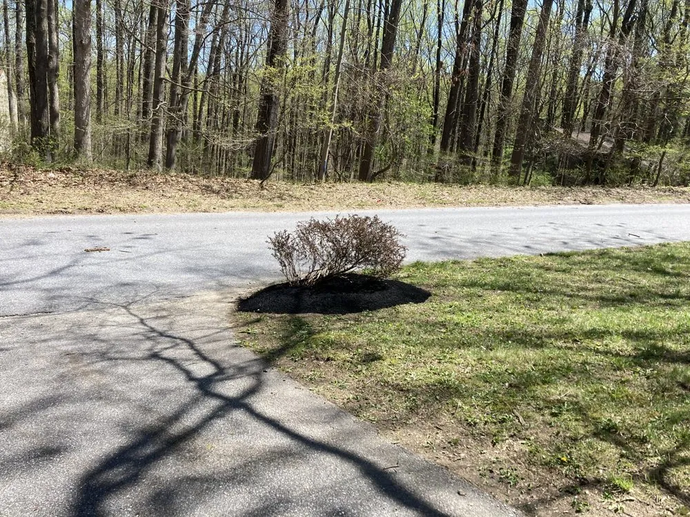 Expert garden landscaping in Elkridge, MD - Father and Sons Landscaping & Construction