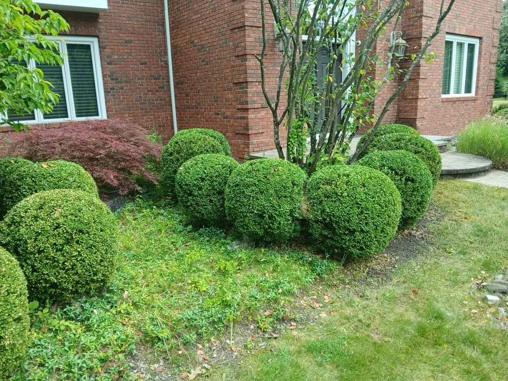 Trusted lawn care service in Hagaman, NY - Father And Sons Landscaping