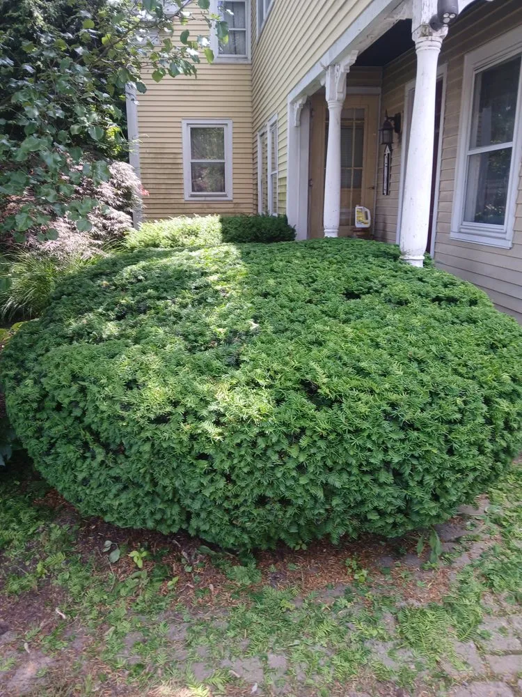 Custom garden landscaping in Hagaman, NY by Father And Sons Landscaping