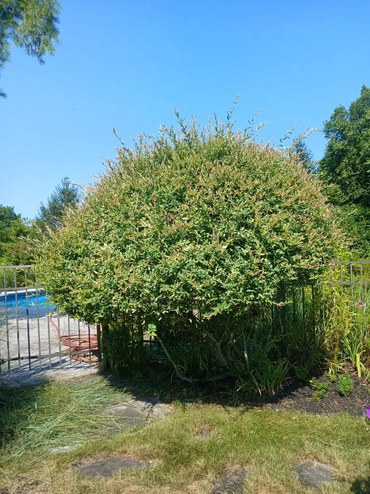 Professional residential landscaping in Hagaman, NY - Father And Sons Landscaping