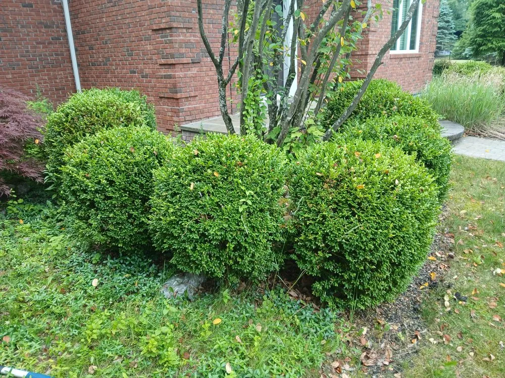 Trusted garden landscaping near you across Hagaman, NY - Father And Sons Landscaping