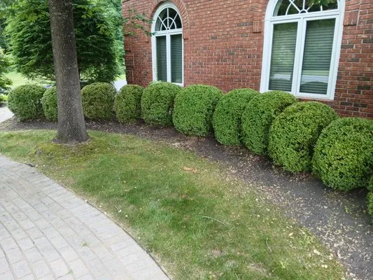 Father And Sons Landscaping