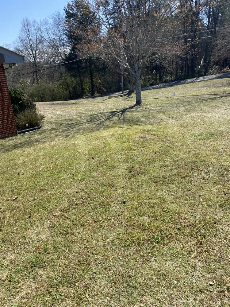 Custom outdoor landscaping experts serving Tunnel Hill, GA - Father And Sons Lawn Care