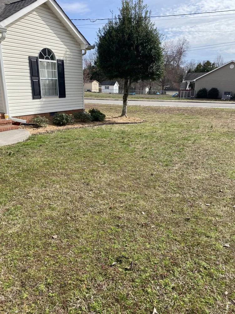 Custom lawn care service for residential properties in Tunnel Hill, GA by Father And Sons Lawn Care