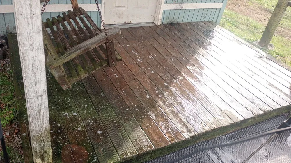 Custom yard cleanup service in Tunnel Hill, GA by Father And Sons Lawn Care