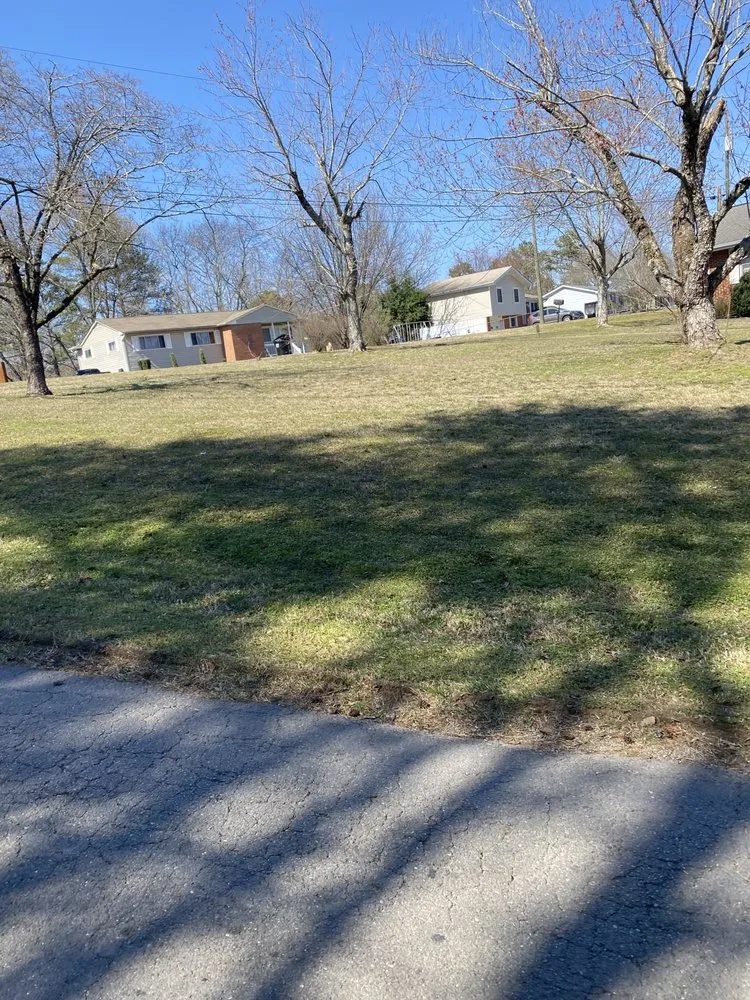 Expert yard cleanup service in Tunnel Hill, GA - Father And Sons Lawn Care