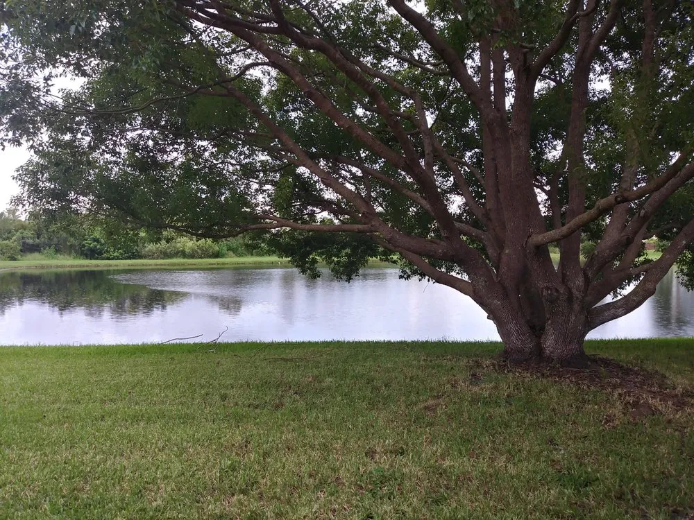 Expert landscaping services in Port Richey, FL by Father and Son's Lawn Service