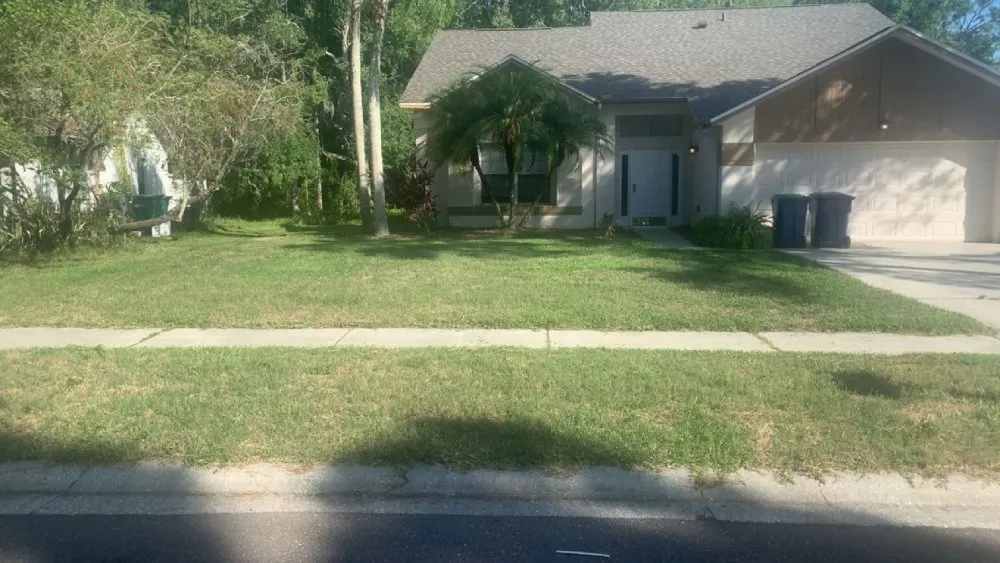 Top-rated lawn care service for beautiful yards across Port Richey, FL - Father and Son's Lawn Service