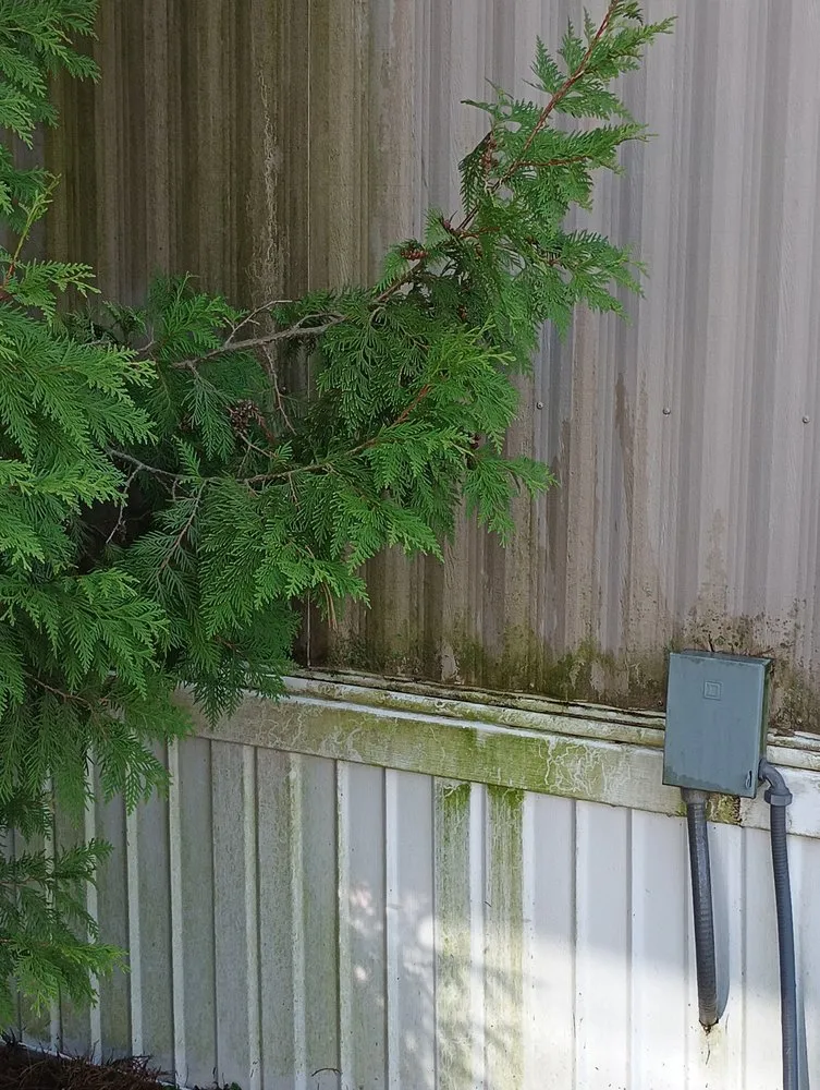 Reliable yard maintenance in La Porte, IN by Father And Sons Lawncare