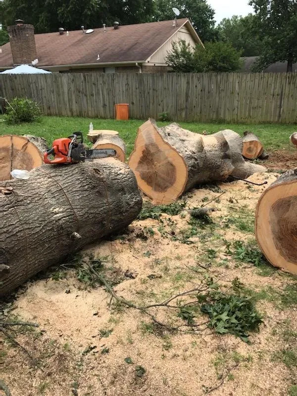 Local lawn care service for residential properties across Mayflower, AR - Father and sons reliable tree service